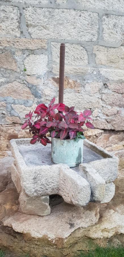 O Feixoal Βίλα Hio Εξωτερικό φωτογραφία